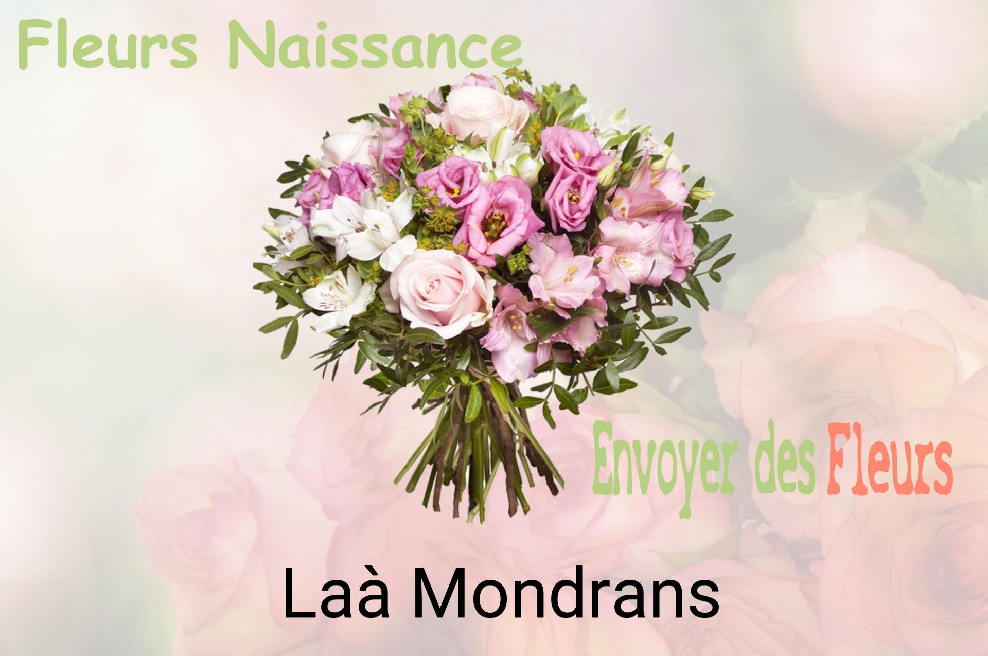 Bouquet de fleurs de naissance livré à Laà-Mondrans